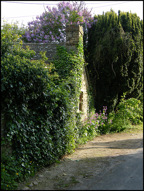spring evening in the lane