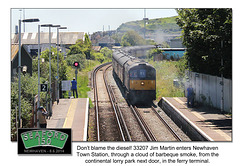 Seaford 150 - 33207 - Newhaven - 8.6.2014