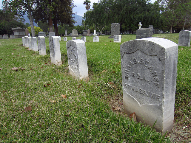 Mountain View Cemetery (2153)