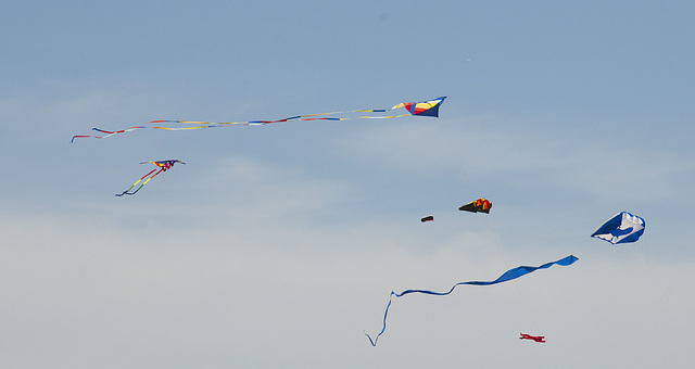 Great Lakes Kite Festival