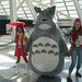Totoro cosplay, Anime Expo 2014