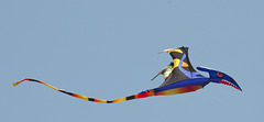 Great Lakes Kite Festival