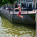 Swimming in the harbour of Dort