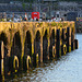 Millbay Docks, Plymouth
