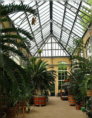 palmwarehouse