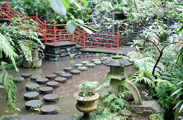 Madeira. Monte. Kleiner Teich in den tropischen asiatischen Gärten. ©UdoSm