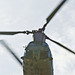 Sikorsky CH-46 Sea Knight