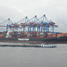Containerschiff  "BUDAPEST EXPRESS"