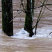 Big Wills Creek Flooding