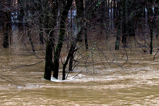 Big Wills Creek Flooding
