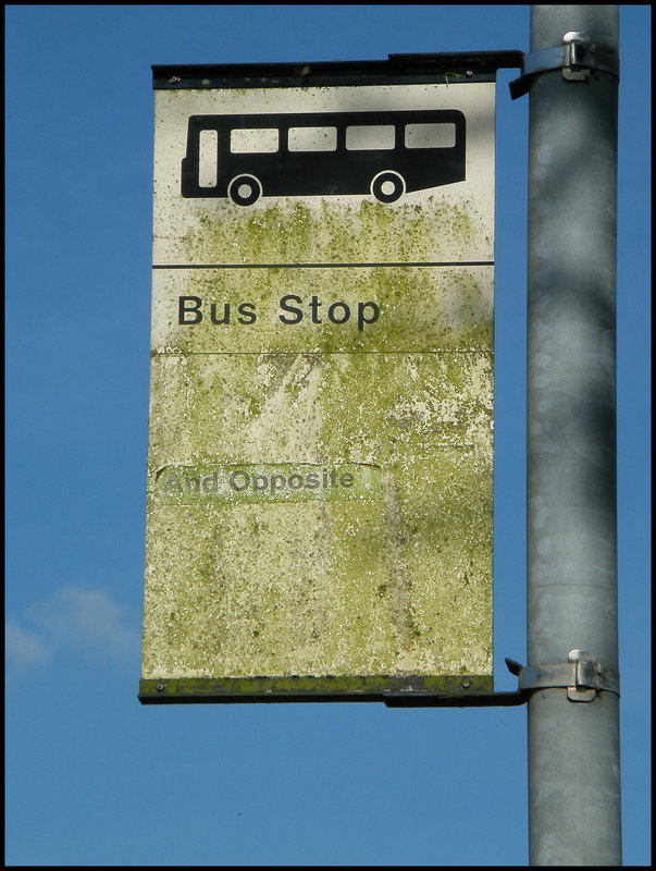 Aynho bus stop