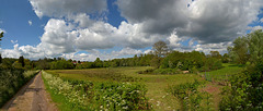 Fields in the sunshine Frensham