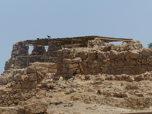 Masada (28) - 20 May 2014