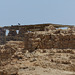 Masada (28) - 20 May 2014