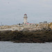 Machias Seal Island