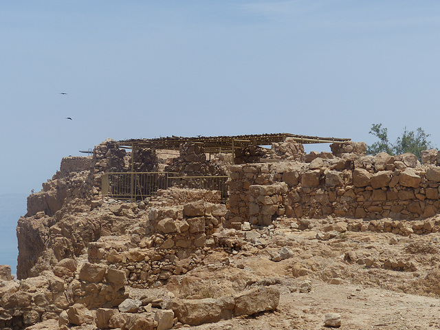 Masada (31) - 20 May 2014