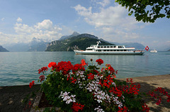 Le lac des Quatre Cantons (Suisse Centrale)