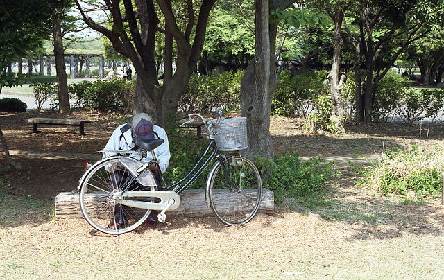 Man with the bike in a park