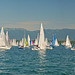 Bol d'or 3 (5 images)