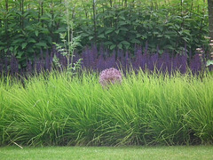 Great use of grasses in planting