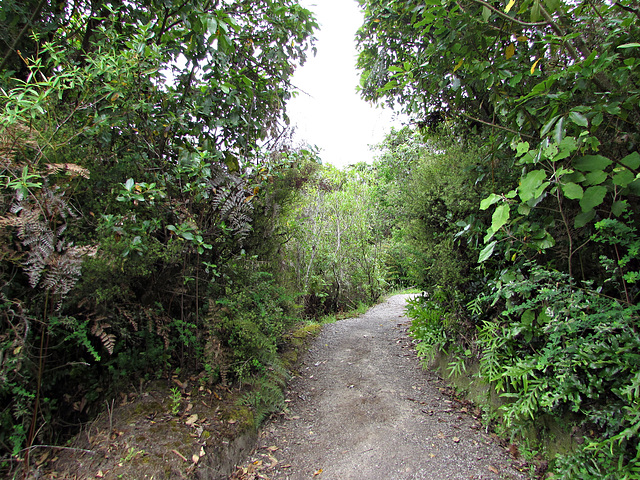 Path To The Lookout