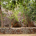 Stone Gardens, Sigiriya