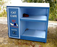'Cat Cafe'