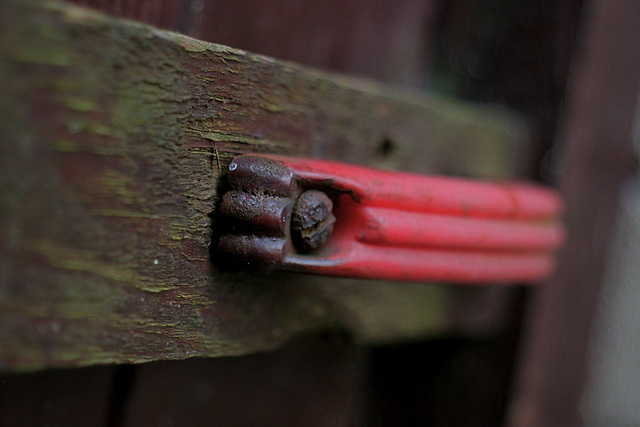 The Red Handle - Optomax 35/2.8