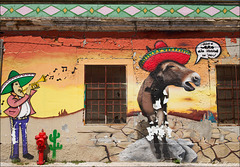 Setúbal, mural: "Vozes de Zorro não chegam ao céu"