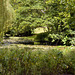 Waverley Mill pond