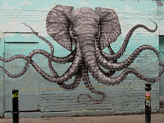 Octopus Elephant