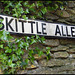 Skittle Alley street sign