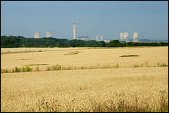 summer fields of Didcot