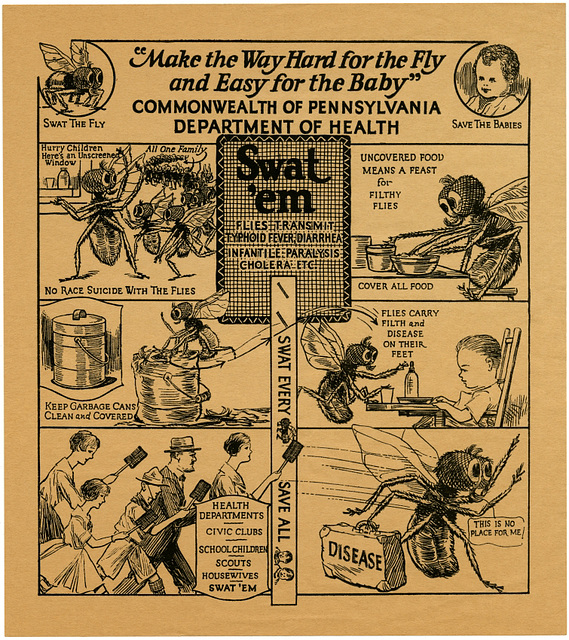 Swat The Fly [1935]