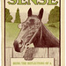 Horse Sense, Being the Reflections of a Wise Horse