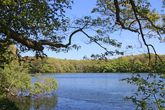Upper Shawme Lake