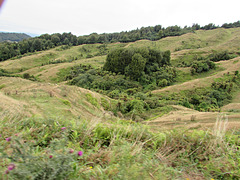 Hilly Countryside Near Ngaroma