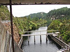 From Waipapa Dam Looking North