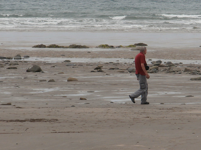 Mickey walking on the beach