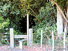 Stile Entrance to JIM Barnett Reserve
