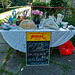 sommercafe-1180891-co-25-05-14
