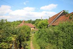 Tuddenham Saint Martin, Suffolk (41)