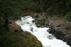Salmon Cascades