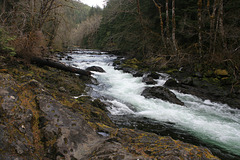 Upper Salmon Cascades