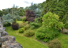 Farnham Castle gardens