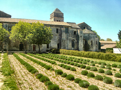 Asylum at St. Remy de Provence