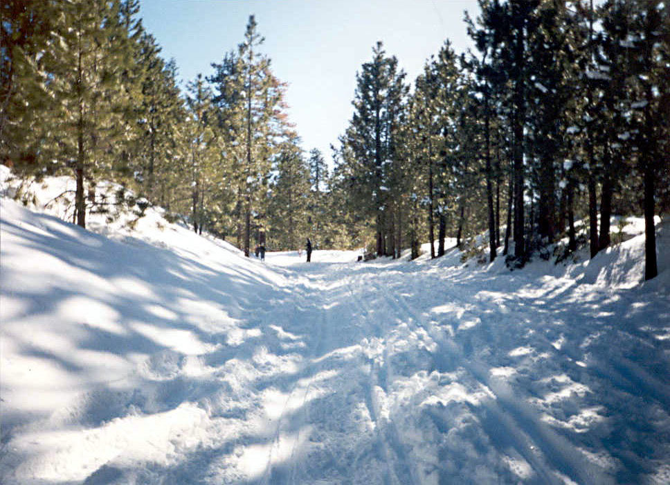 snowy_trail_adj