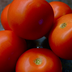 Six Tomatoes