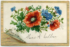 Alice A. Collar, Dec. 31st, 1878