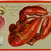 To My Valentine, A Lobster I Am and Always Will Be